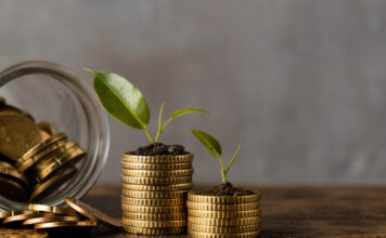 Dobrá investice nám může vydělat nemalé finance